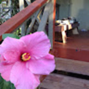 Meet your Posher, Kauʻi